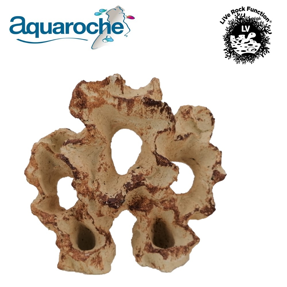 Roche pour cichlides aquarium 18 cm