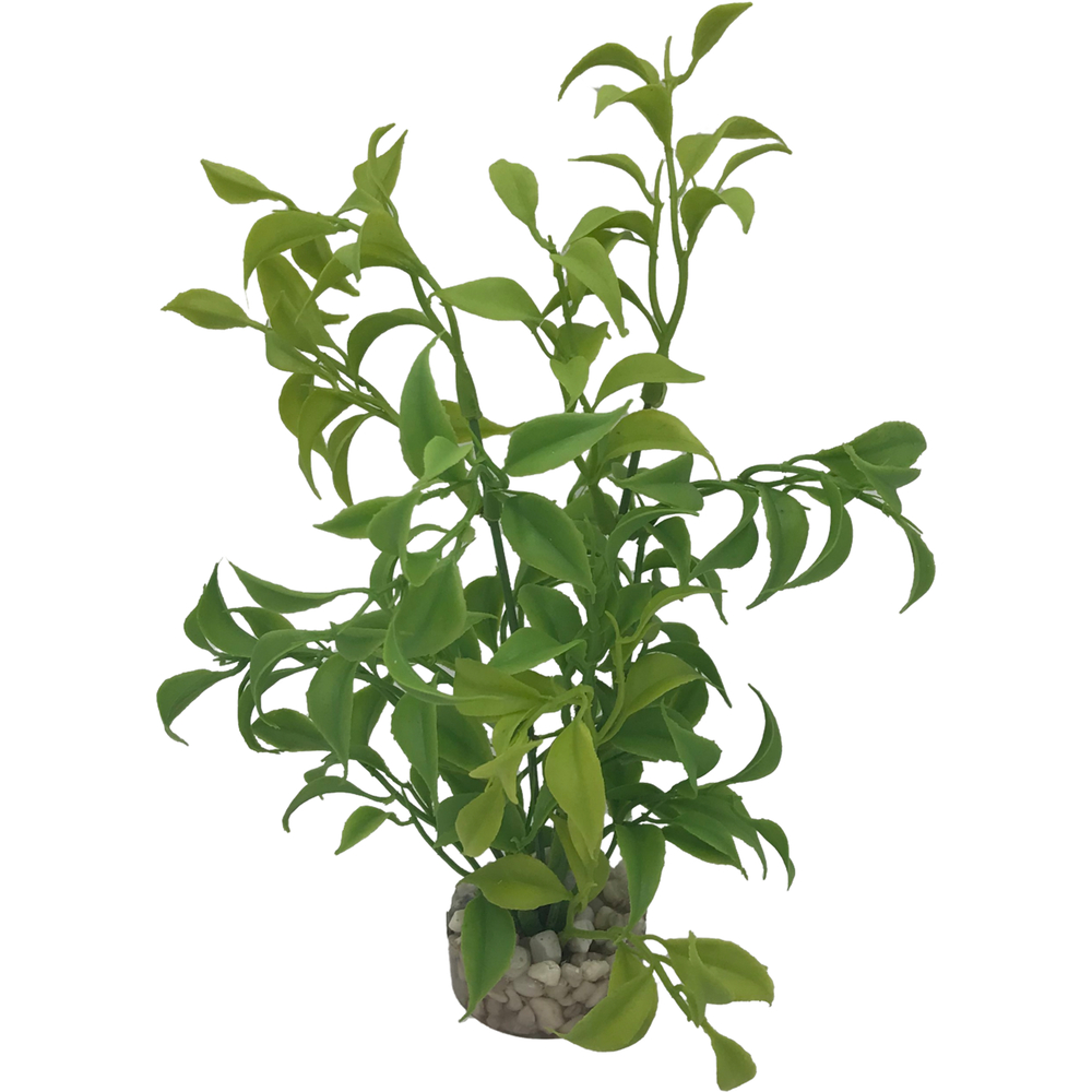 HERBE VERT CLAIR MM-(1040768)