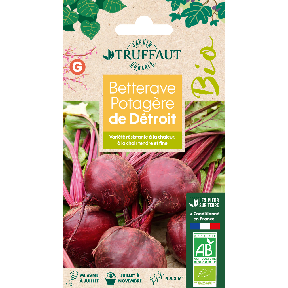 Graines de Betterave potagère de Détroit 2 Bio