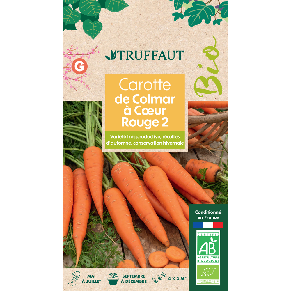 Graines de Carotte de Colmar à Cœur Rouge 2 Bio