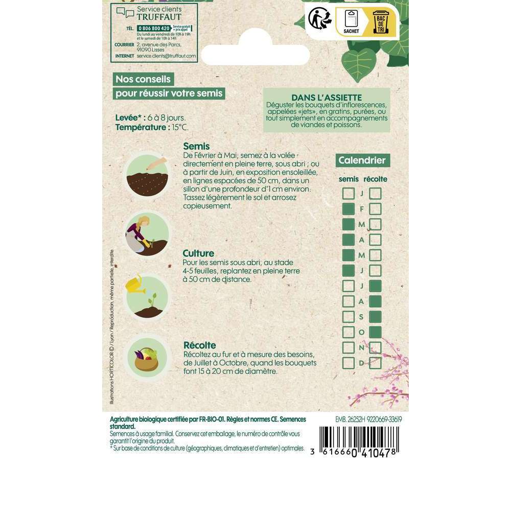 Graines de Chou Brocoli Calabrese Natalino Bio