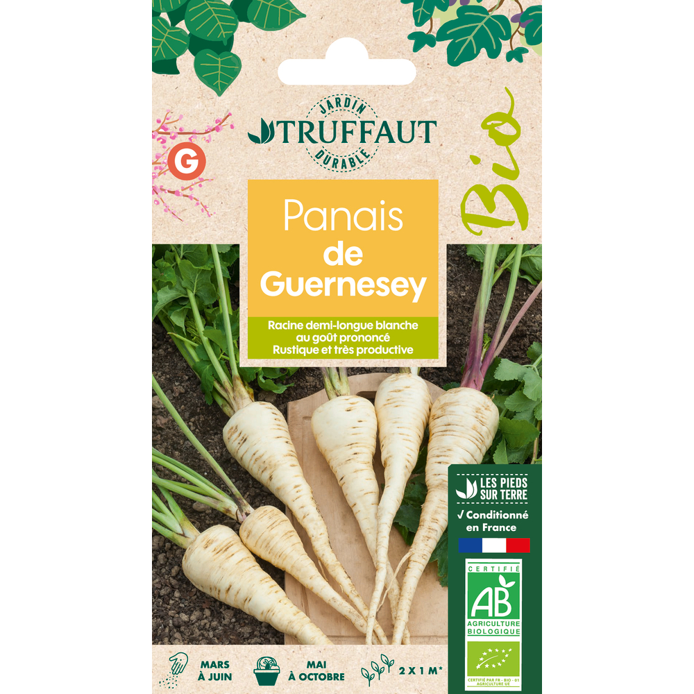 Graines de Panais de Guernesey Bio