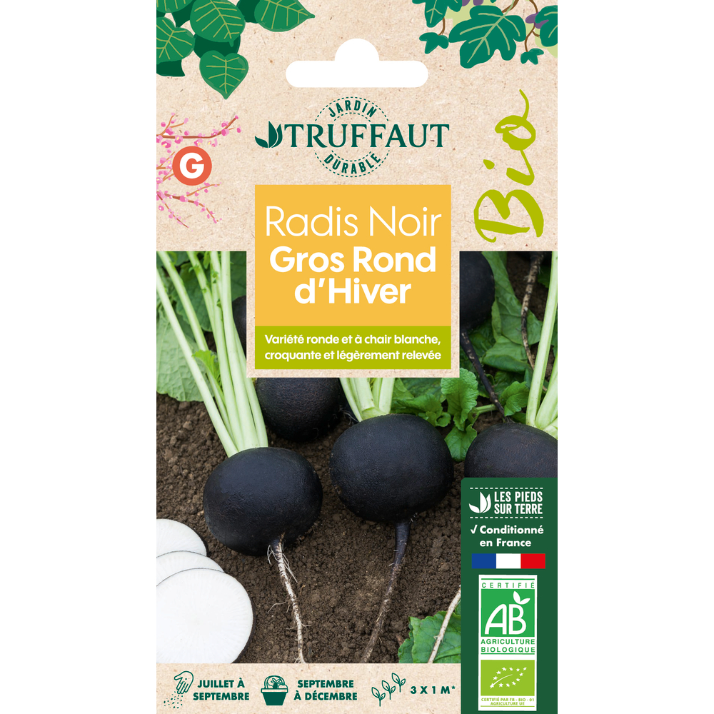 Graines de Radis Noir Noir Gros Long d'Hiver Bio