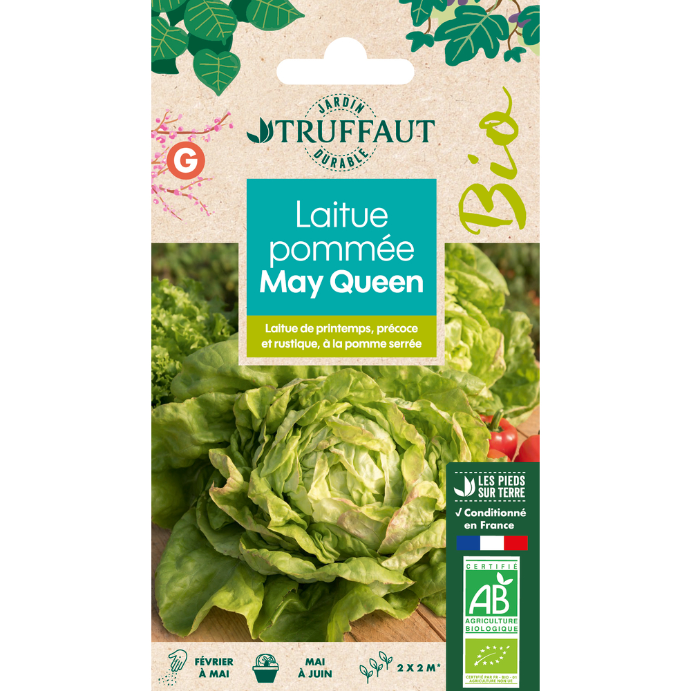 Graines de Laitue Reine de Mai de Pleine Terre Bio