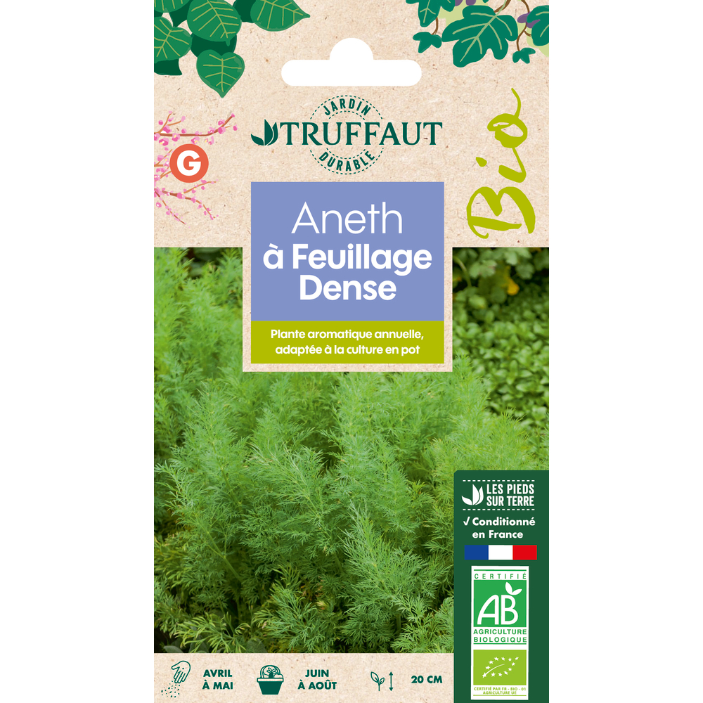 Graines d'aneth Officinal Bio