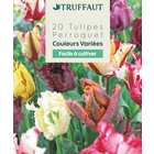 Bulbes de Tulipes à floraison Perroquet Sachet de 20 - Calibre 11/12