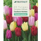 Bulbes de Tulipes Floraison hâtive simple Sachet de 20 - Calibre 11/12