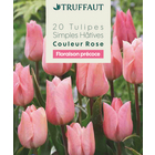 Bulbes de Tulipe Simple Hâtive Rose X20 11/12