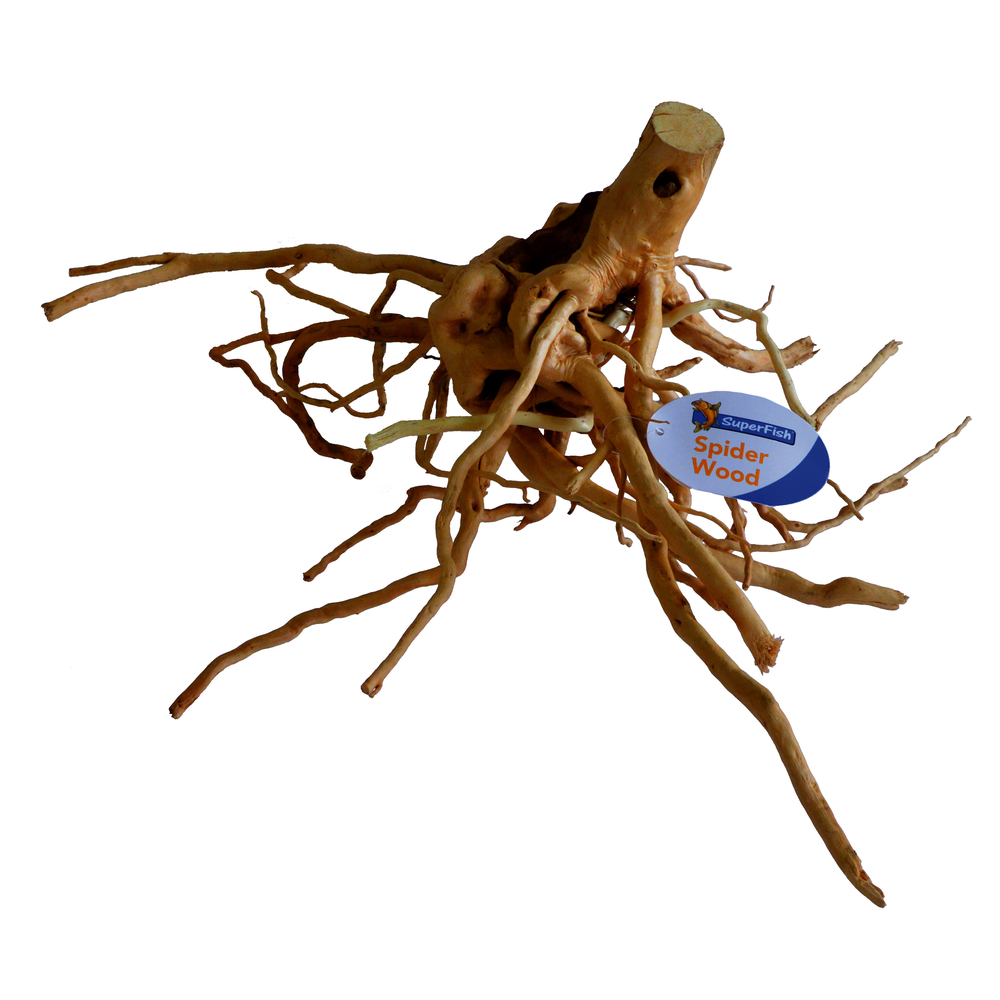 Décor aquarium Racine araignée Spiderwood L