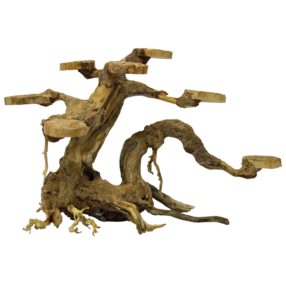 Décor aquarium Racine bonsaï Planter S