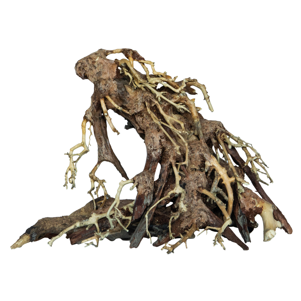 Décor aquarium Racine bonsaï Root S