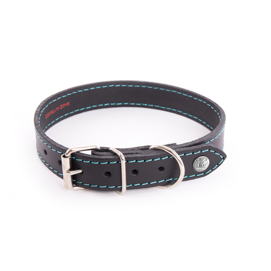 Collier Flash pour chien T.35 Noir/Turquoise