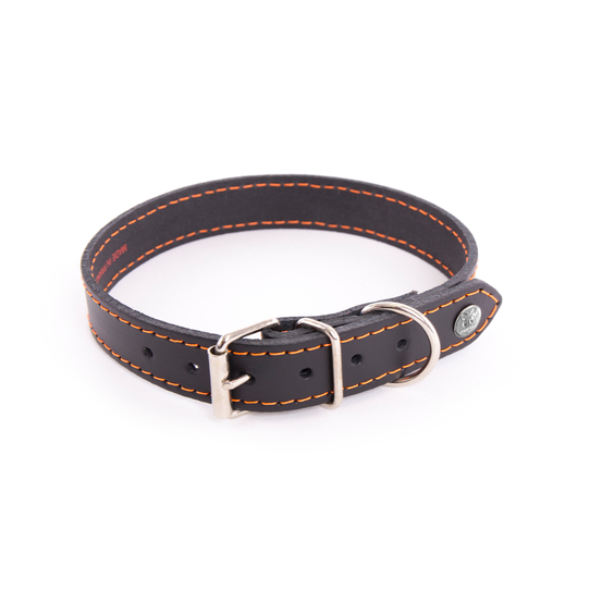 Collier Flash pour chien T.62 Noir/Orange