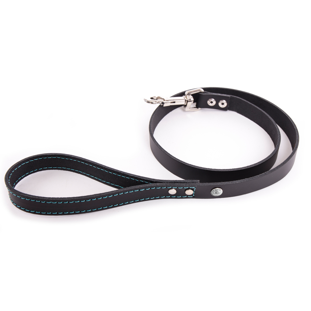 Laisse Flash T.100 pour chien noir / turquoise