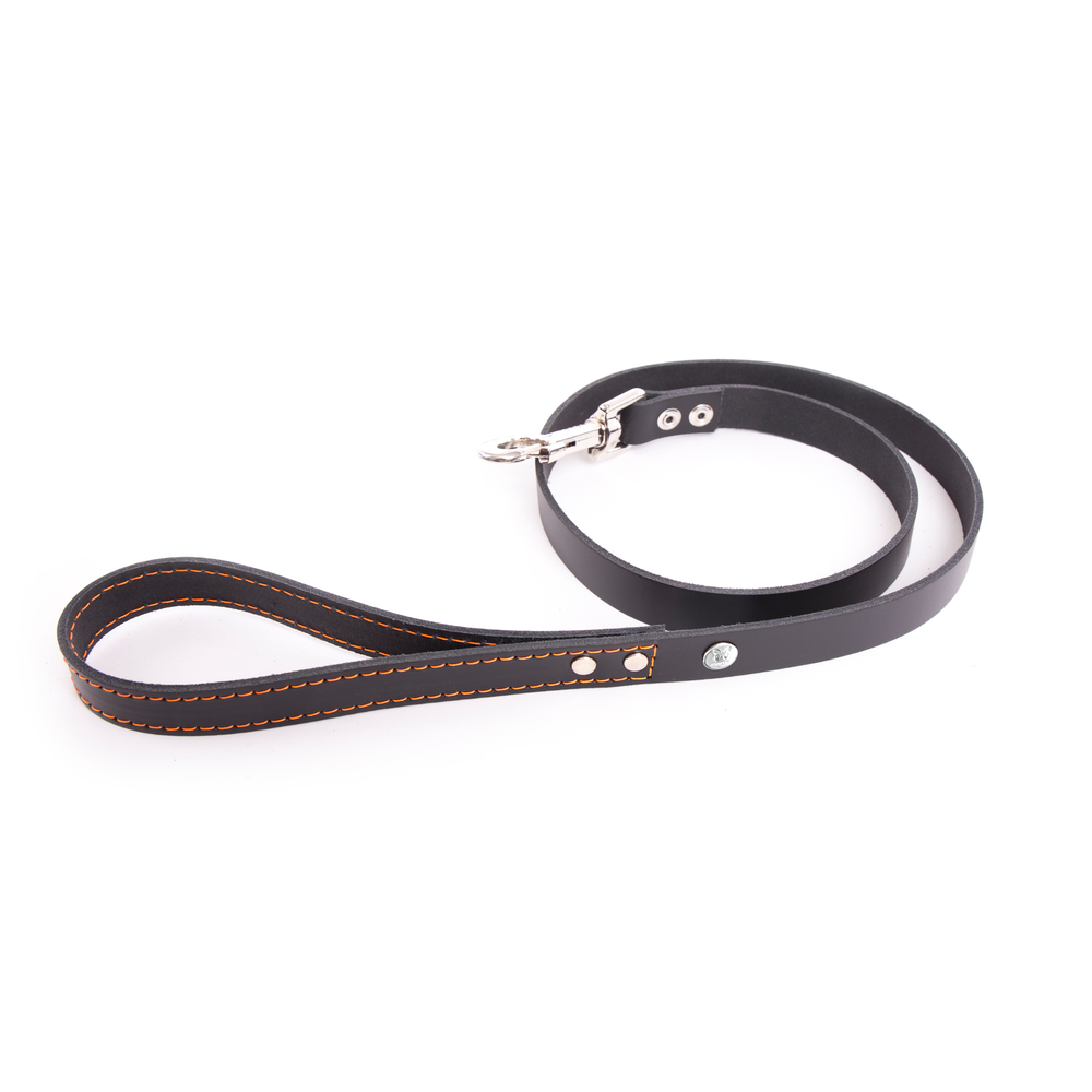 Laisse Flash T.100 pour chien noir /orange