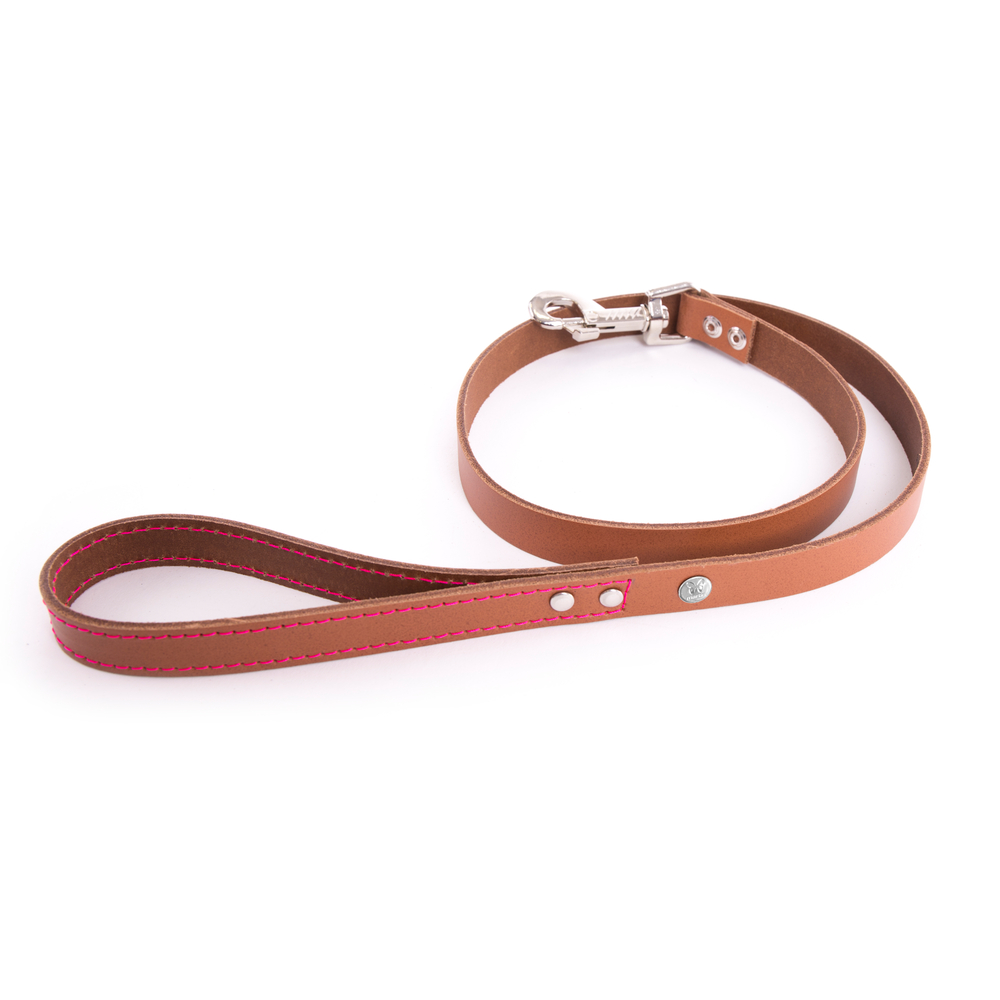 Laisse Flash T.100 pour chien cognac /rose