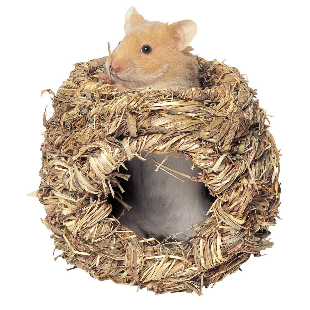 Nichoir en herbe pour rongeur