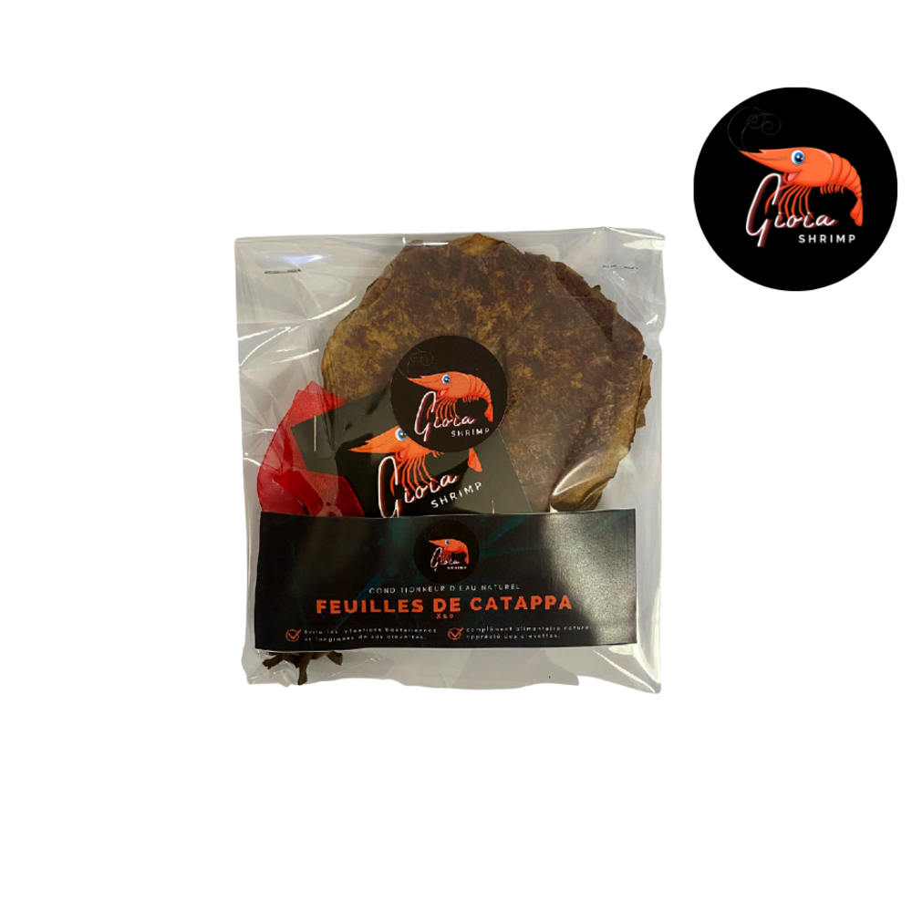 Feuilles de catappa pour les crevettes d'aquarium x10
