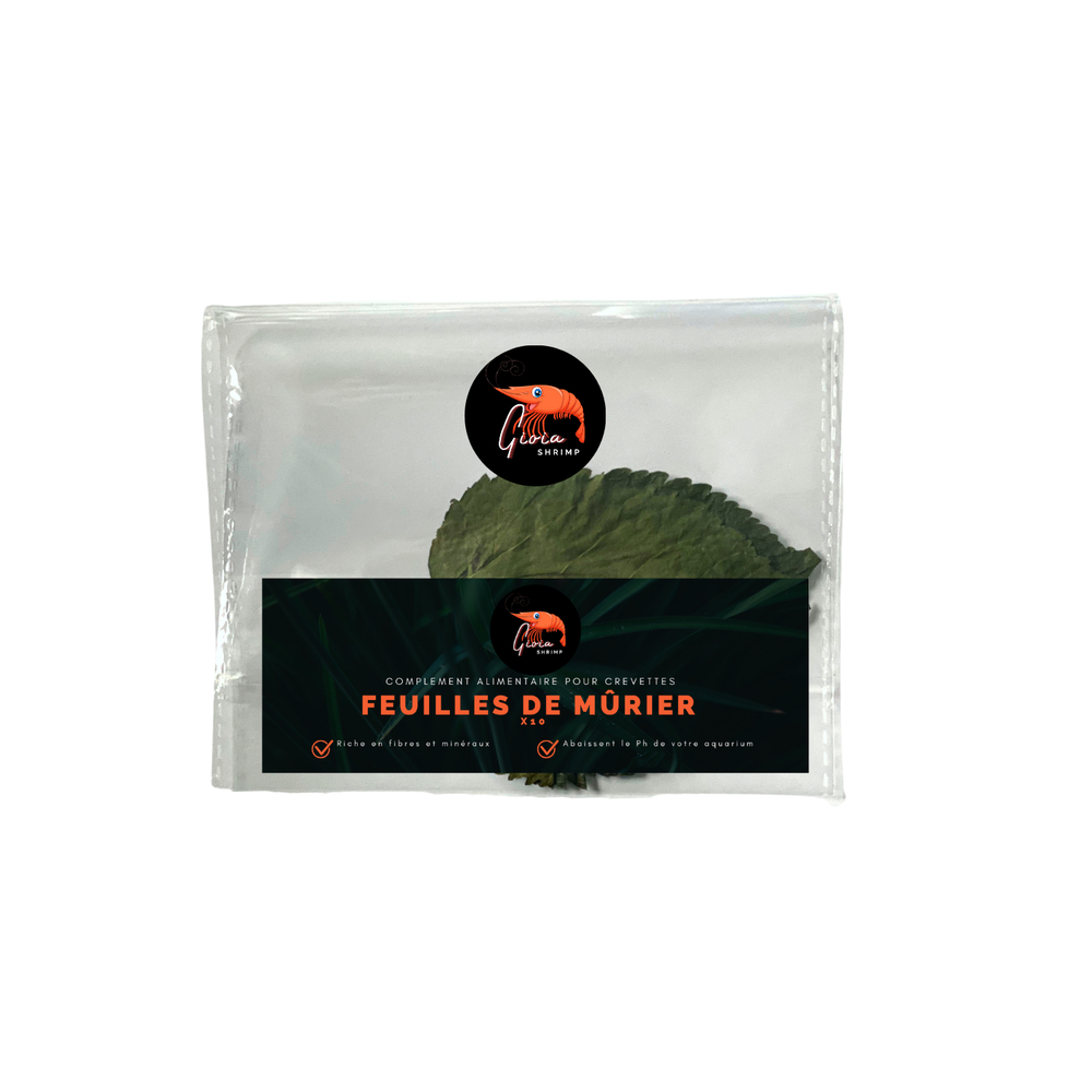 10 feuilles de mûrier pour crevettes - 5g