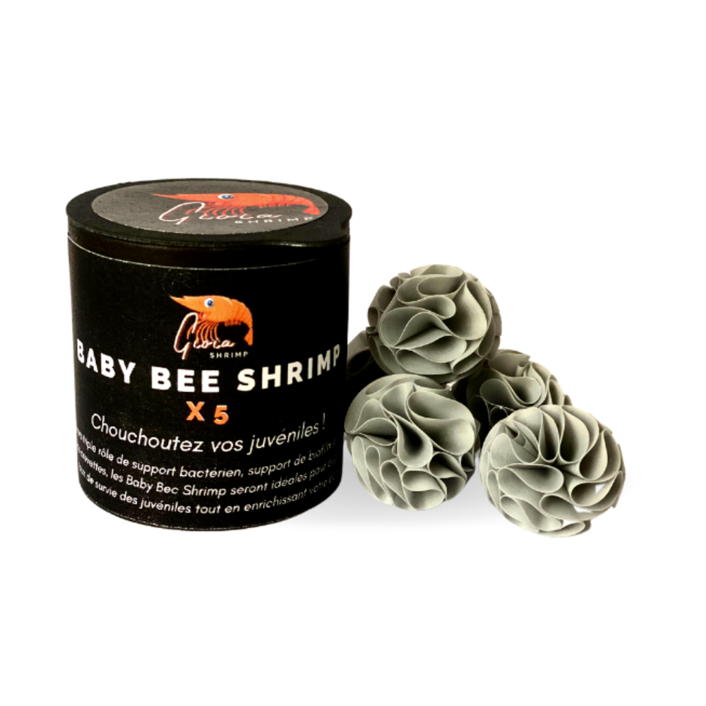 Cachettes pour jeunes crevettes 