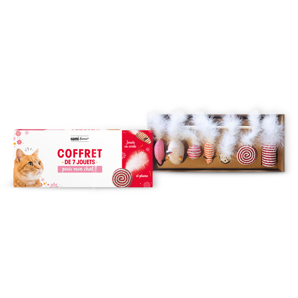 Coffret Noël de 7 jouets pour chat