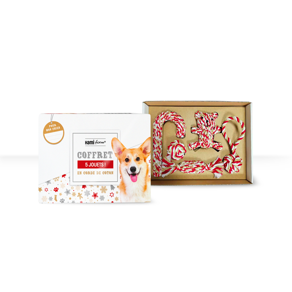 Coffret Noël de 5 jouets pour chien