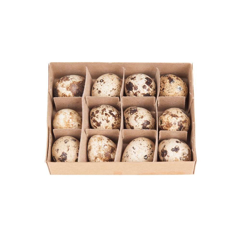 Oeufs de caille - 12 Pièces