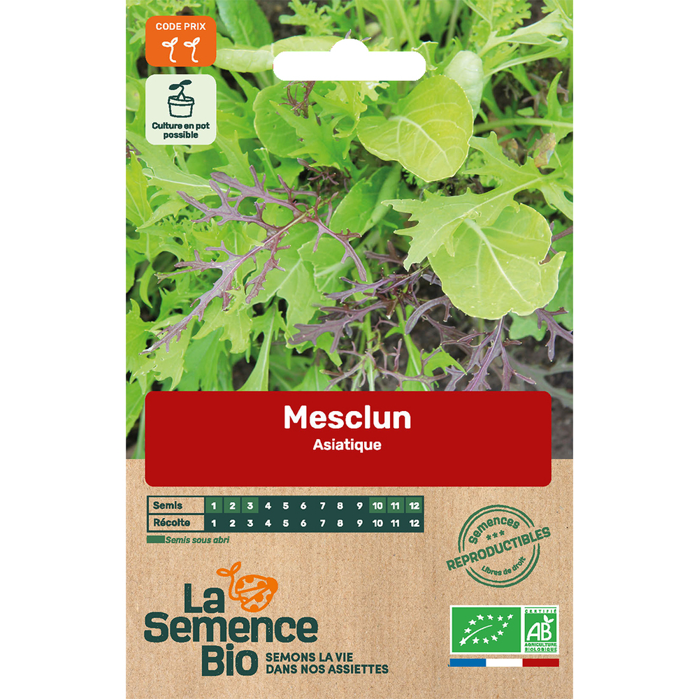 Graines de légumes Mesclun Asiatique Bio