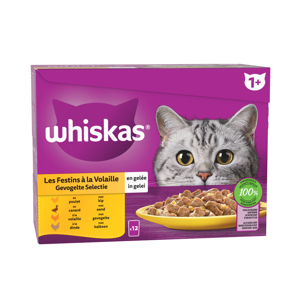 Les festins à la volaille en gelée pour chat 12x85g