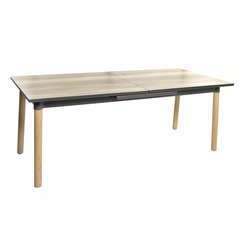 Table priam 200/260x75cm coloris gris