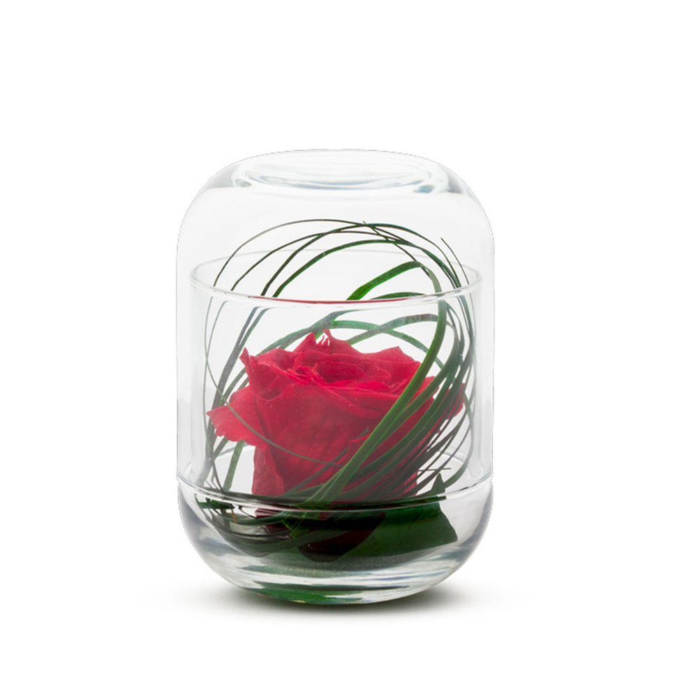 Verrine Capsule rouge base lierre