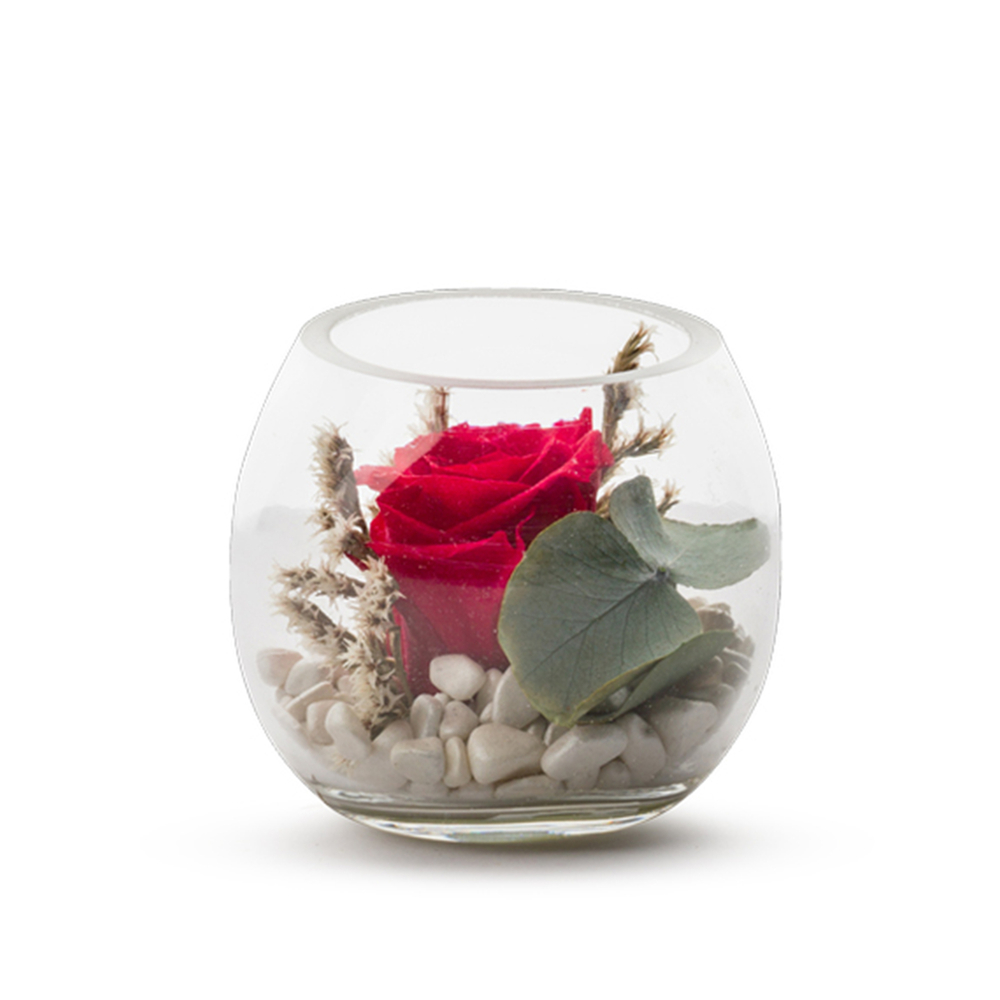 Verrine Venezia 8 rouge eucalyptus