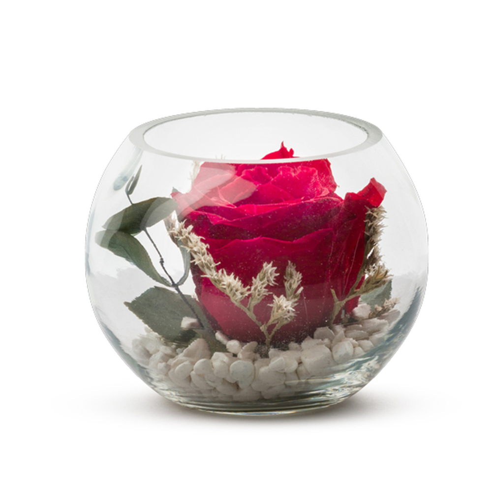 Verrine Venezia 11 rouge eucalyptus