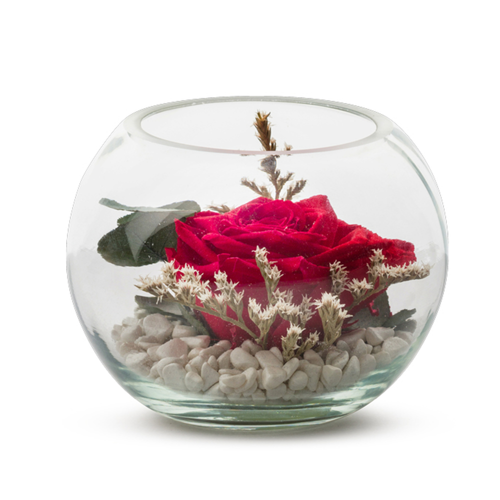 Verrine Venezia 13 rouge eucalyptus