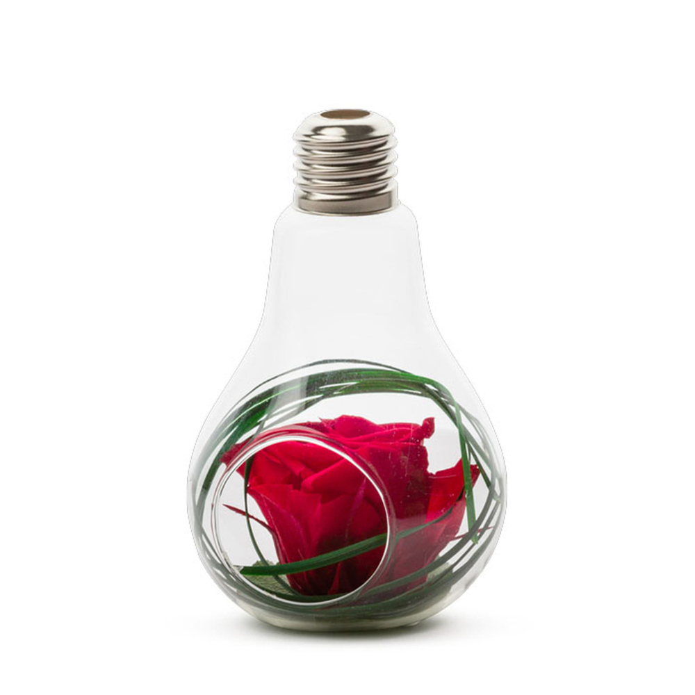 Verrine Ampoule M rouge base lierre