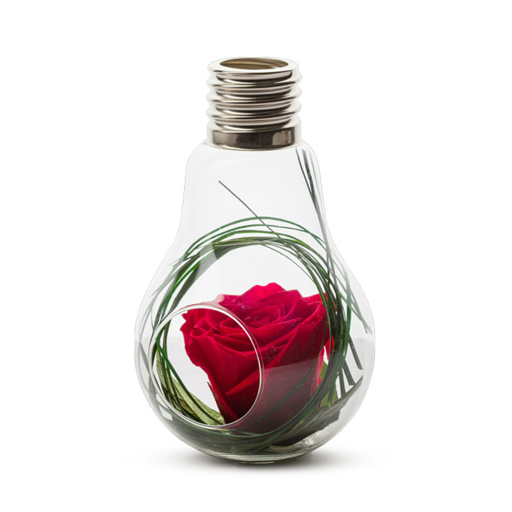 Verrine Ampoule L rouge base lierre