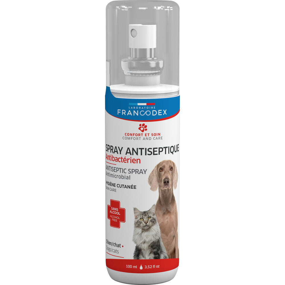 Hundepflege24 Spray Antiseptique pour Chiens et Chats 150ml - Nettoie et  soigne de façon des plaies, favorise la guérison naturelle de la plaie -  Antibactérien, desinfectant, cicatrisant, antiseptique : :  Animalerie