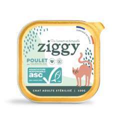 Pâtée pour chat stérilisé saumon 100g Ziggy