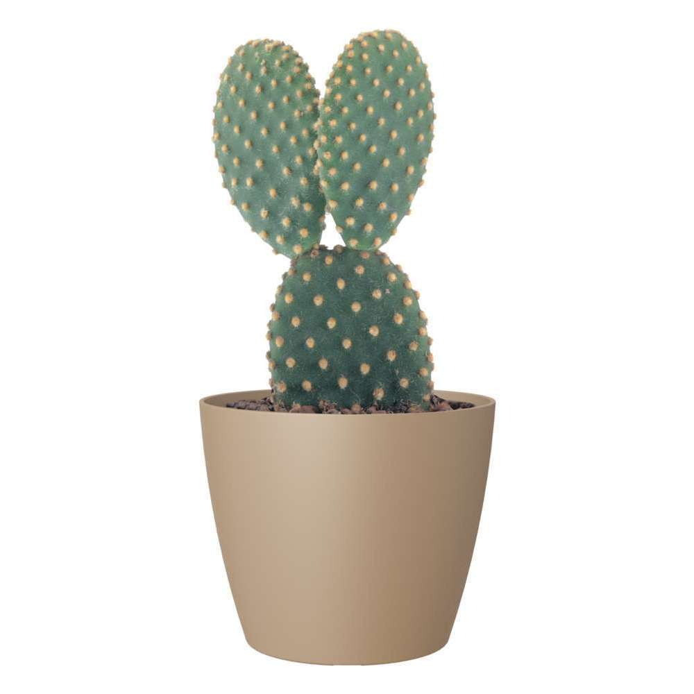 Cache-pot d'intérieur San Remo en plastique beige foncé Ø6cm