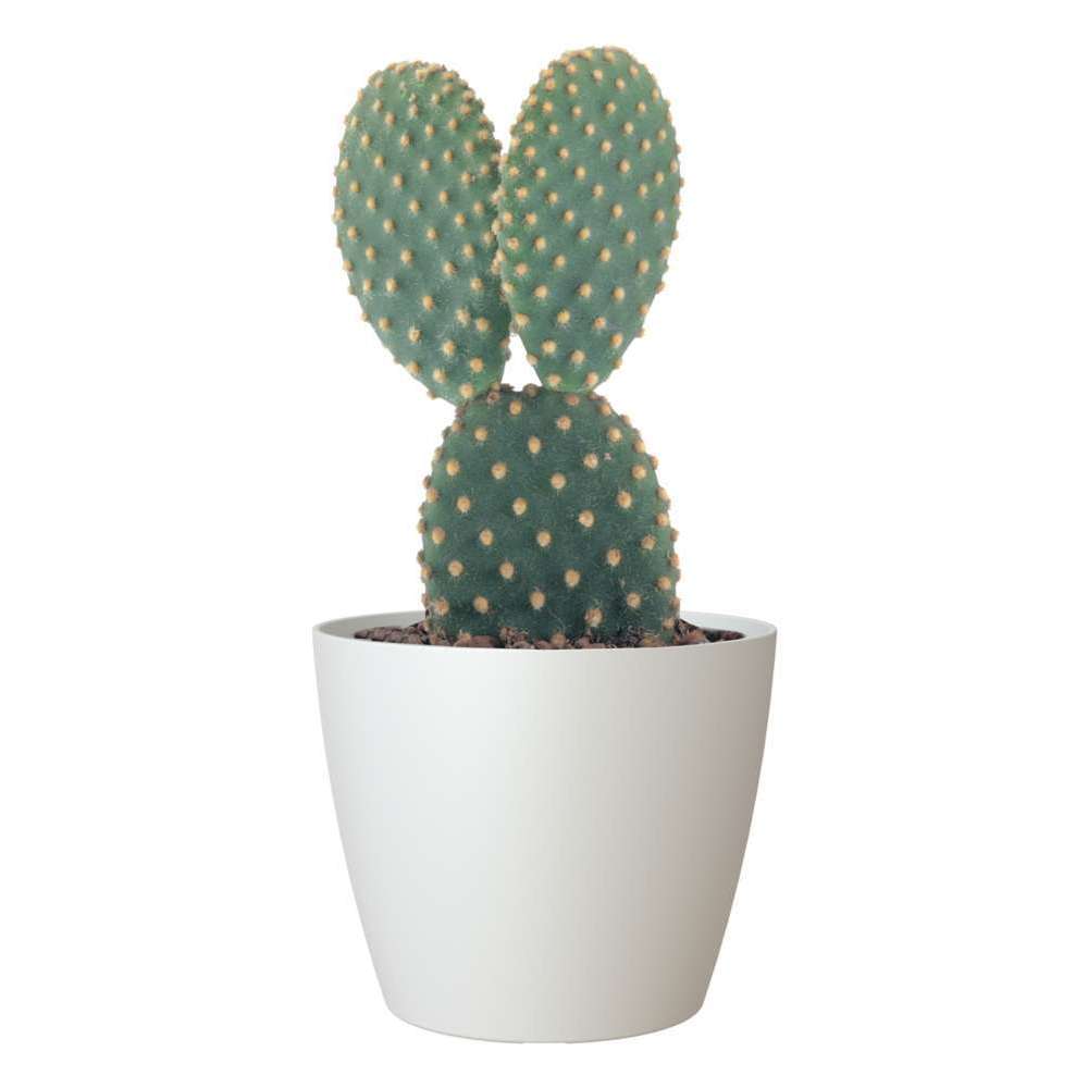 Cache-pot d'intérieur San Remo en plastique blanc Ø9cm