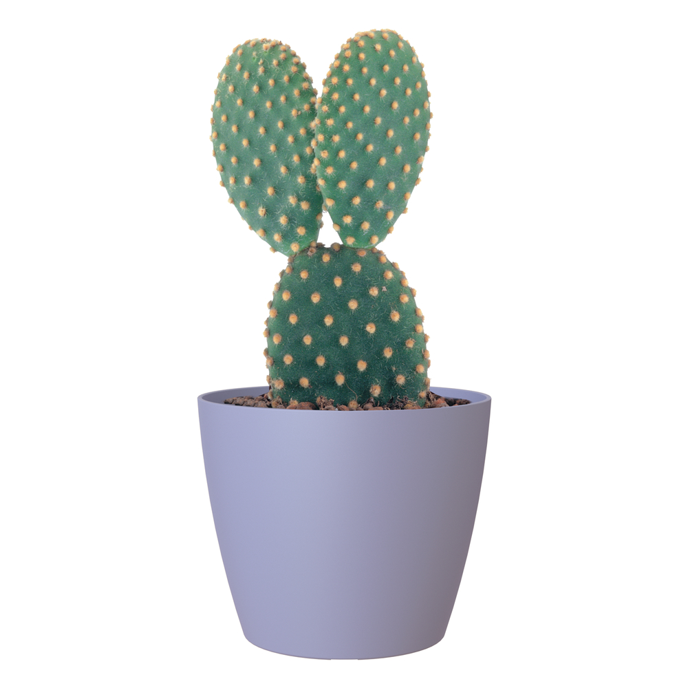 Cache-pot d'intérieur San Remo en plastique lavande Ø9cm