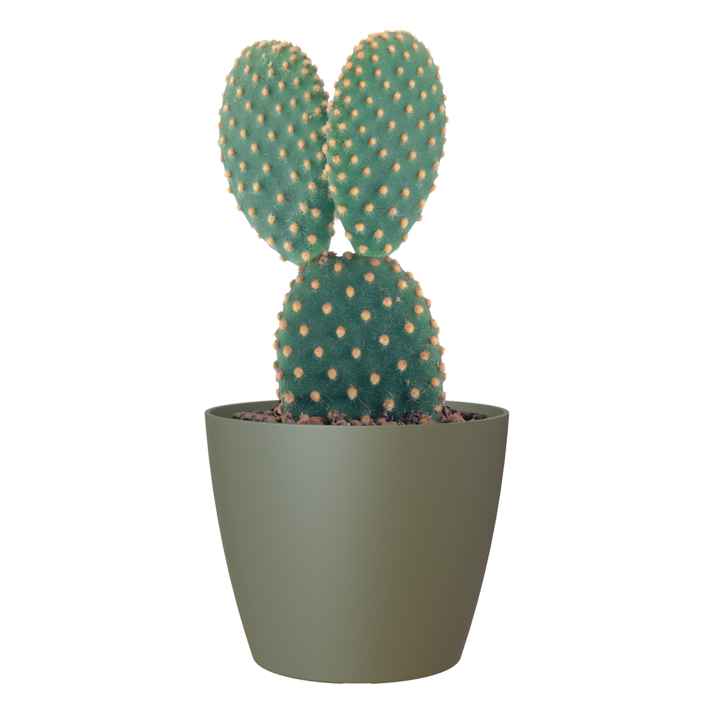 Cache-pot d'intérieur San Remo en plastique vert sec Ø25cm