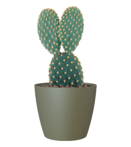 Cache-pot d'intérieur San Remo en plastique vert sec Ø25cm