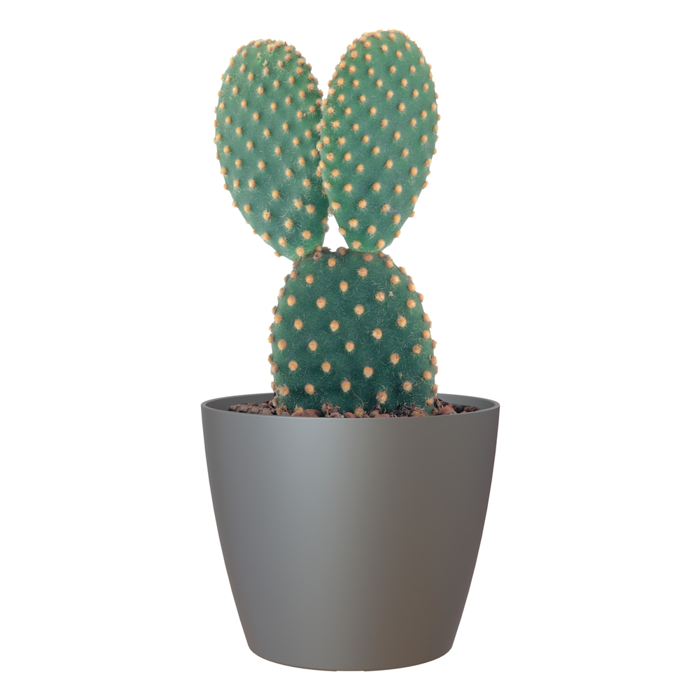 Cache-pot d'intérieur San Remo en plastique anthracite Ø36cm