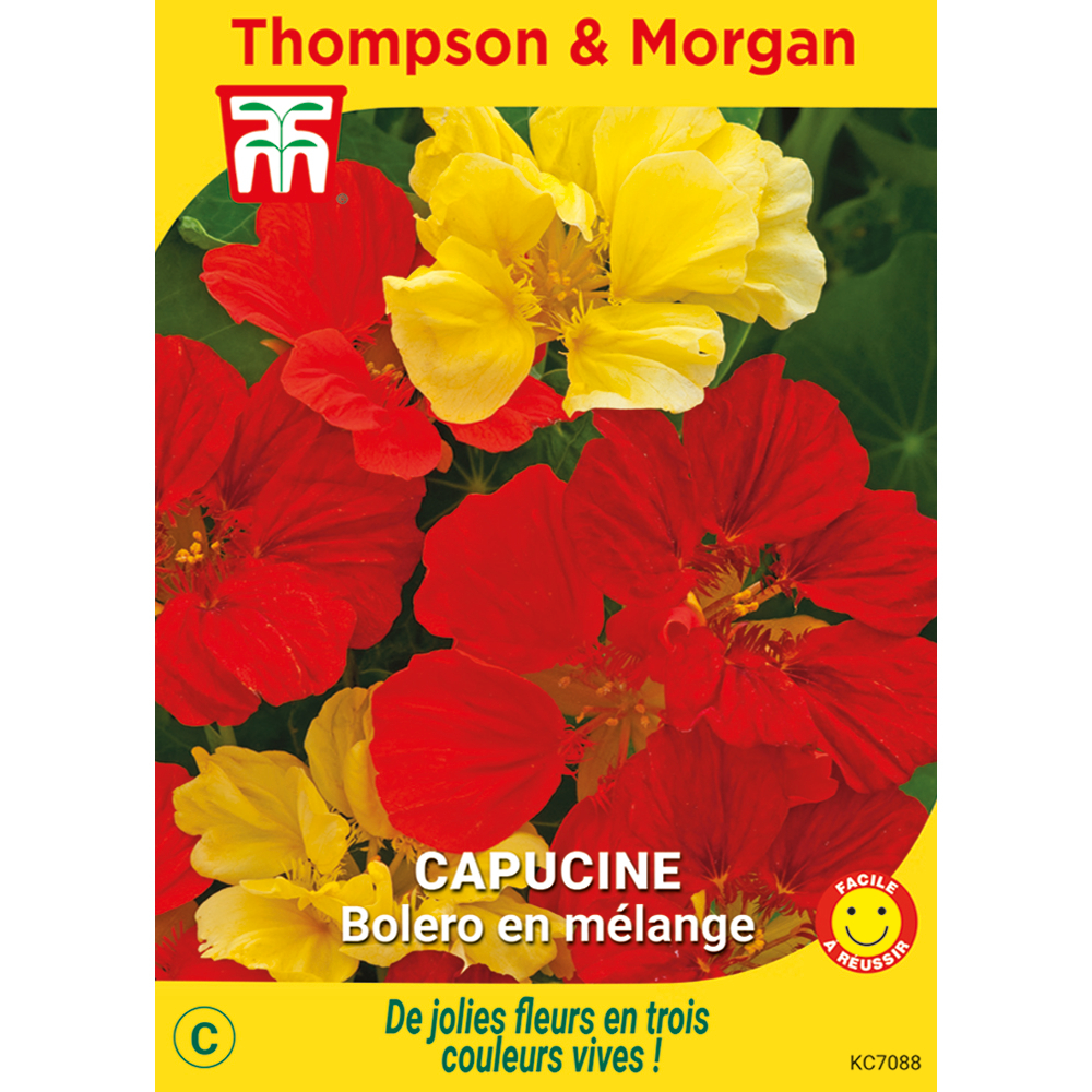 Graines de Capucine Bolero En Mel