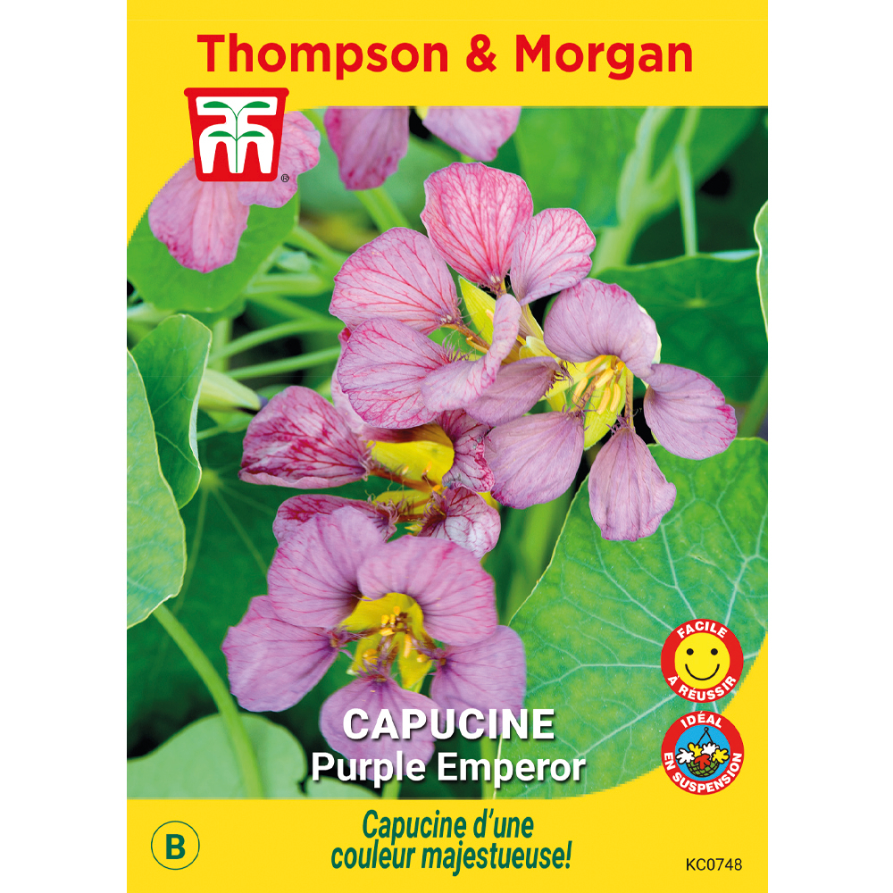 Graines de Capucine Purple Emperor