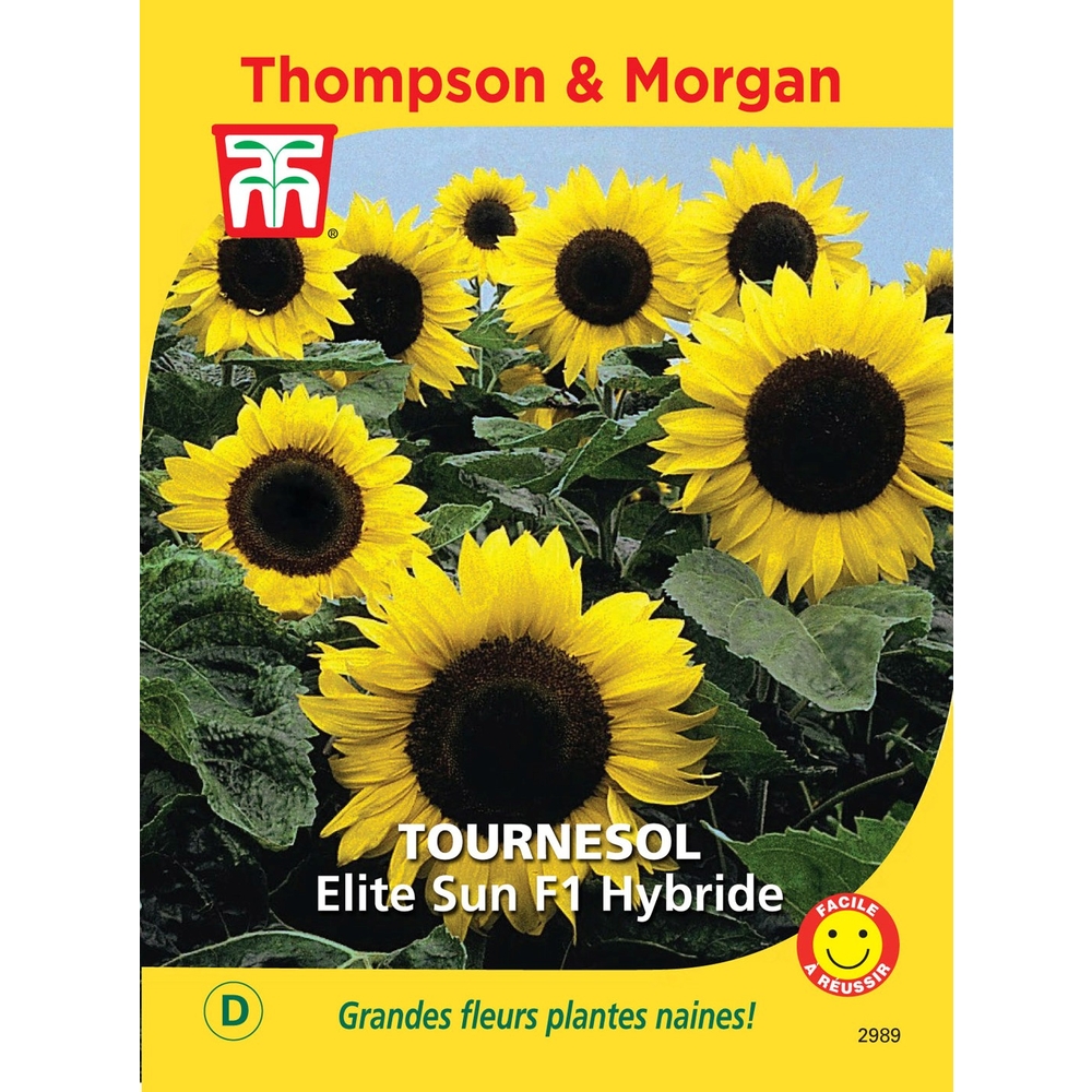 Graines de Tournesol Elite Sun F1