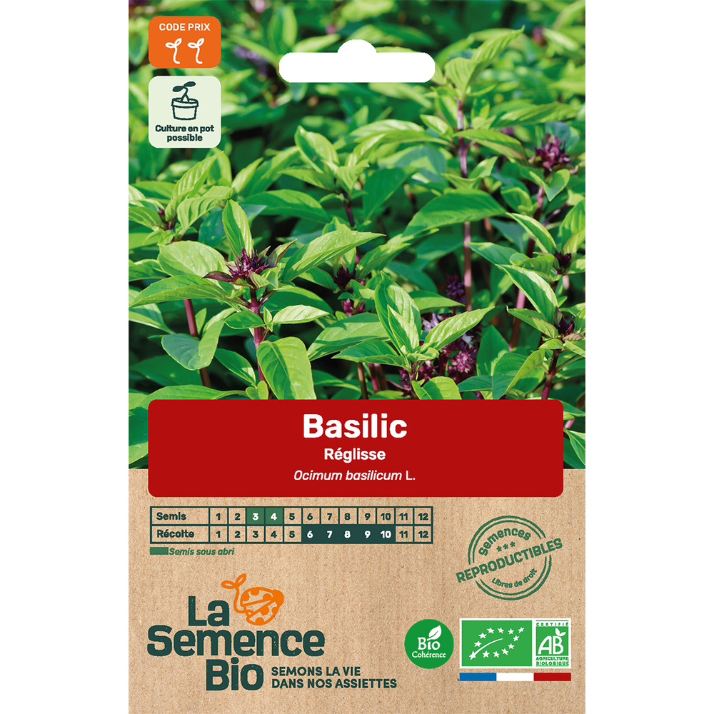 Graines aromatiques Basilic Réglisse Bio