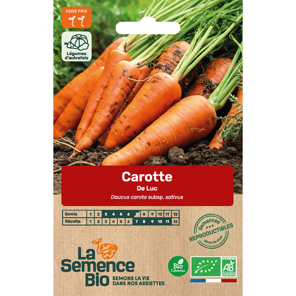 Graines de légumes Carotte De luc Bio