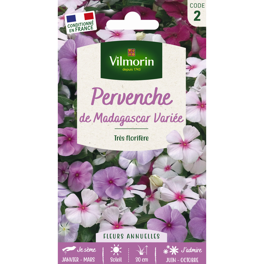 Graines de Pervenche de Madagascar 
